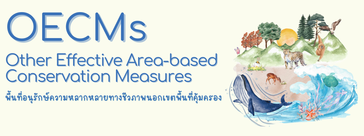 กลไกการเผยแพร่ข้อมูลข่าวสารความหลากหลายทางชีวภาพ