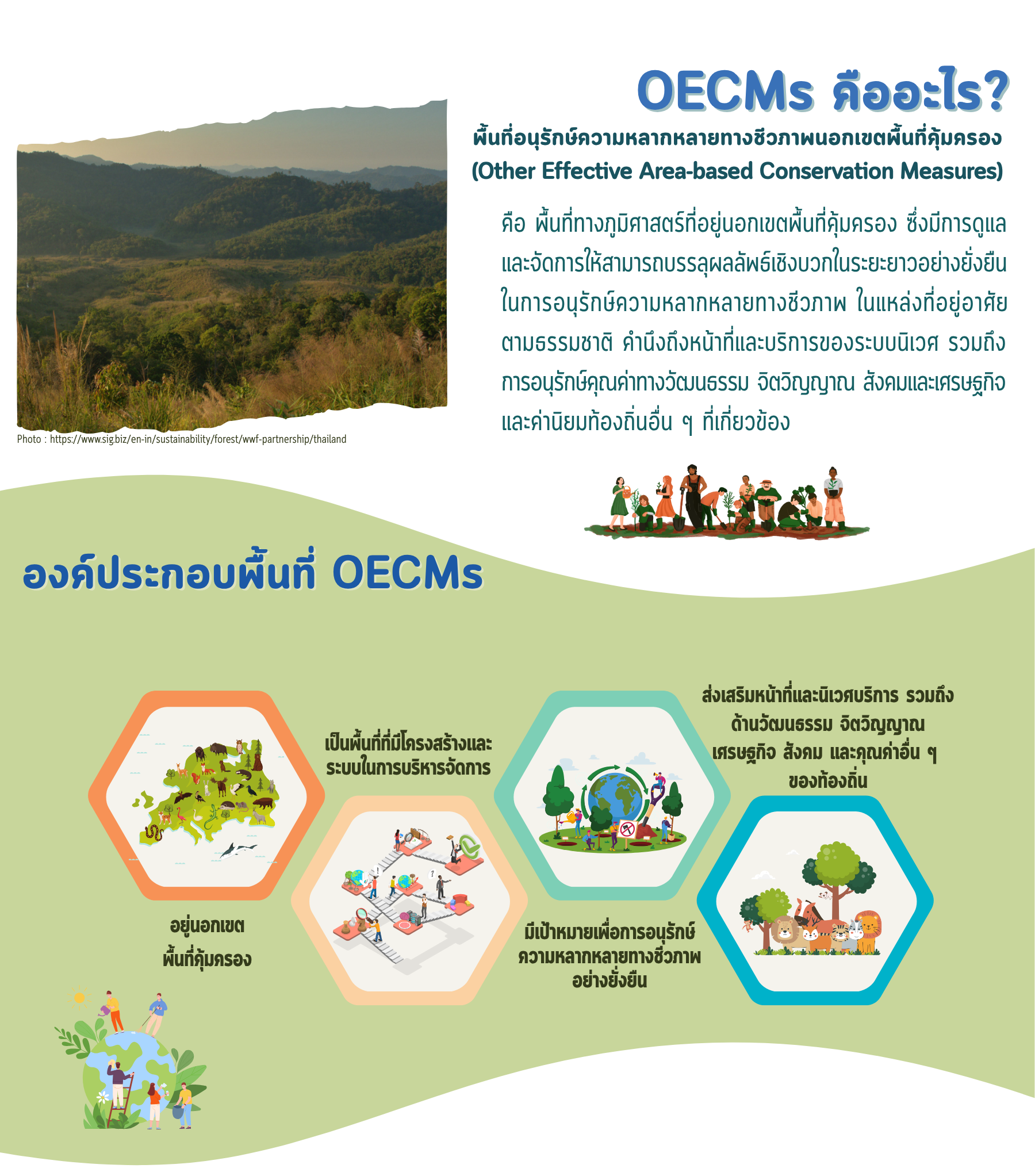 oecmm
