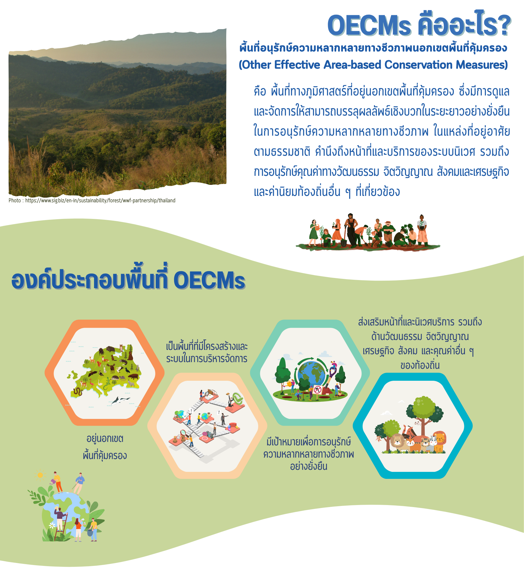 oecm1