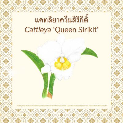 Queen_Sirikit_EP2_02 Queen_Sirikit_EP2_02