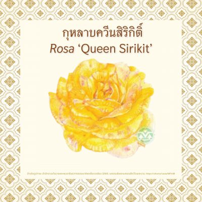 Queen_Sirikit_EP2_04 Queen_Sirikit_EP2_04