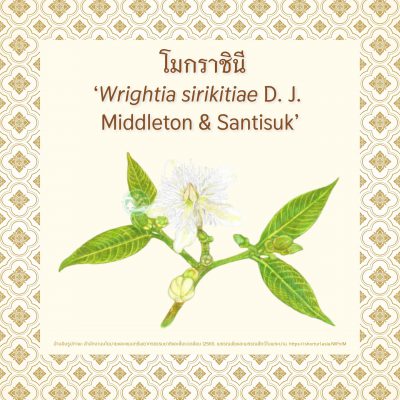 Queen_Sirikit_EP2_06 Queen_Sirikit_EP2_06