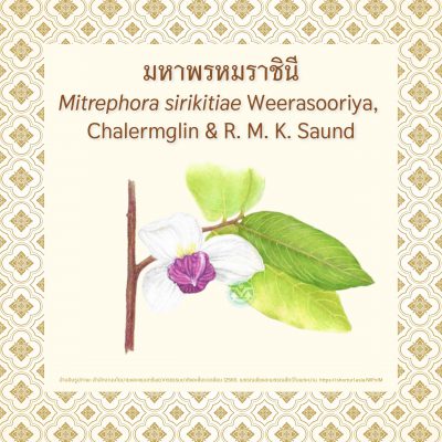 Queen_Sirikit_EP2_07 Queen_Sirikit_EP2_07