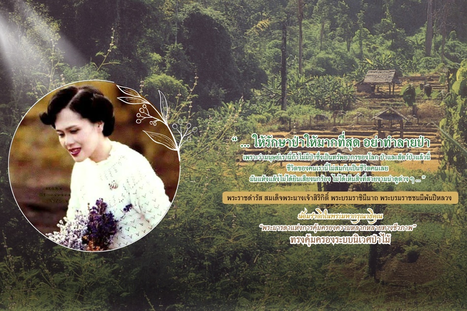 Queen_Sirikit_EP7_00