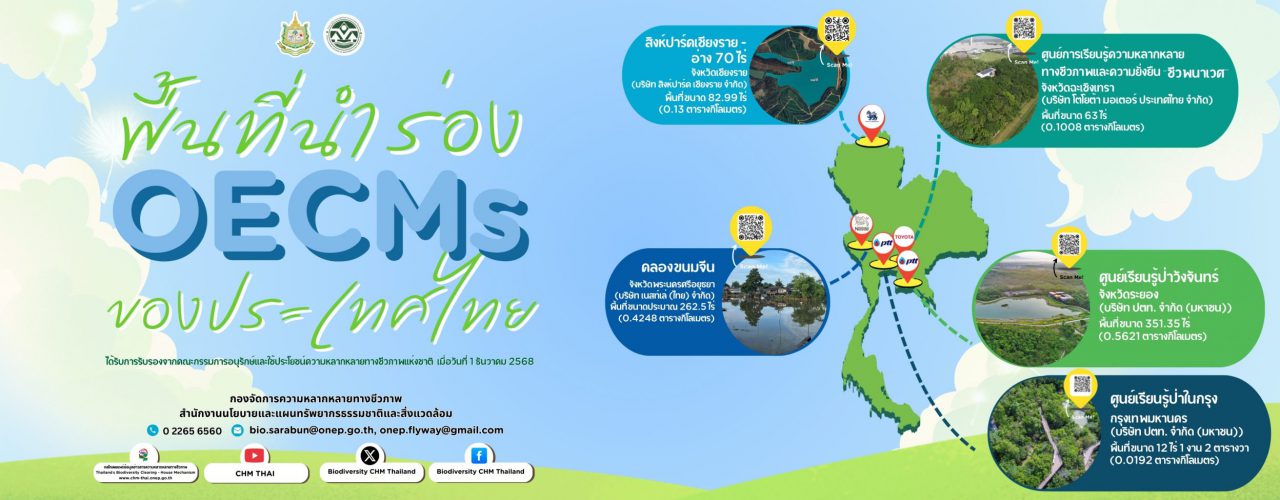 Banner (1) Banner (1)